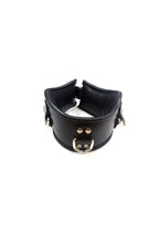Rouge Leather Posture Collar (Black) – Padded Collar with D-Rings > Bondage Gear > Collars & Leashes