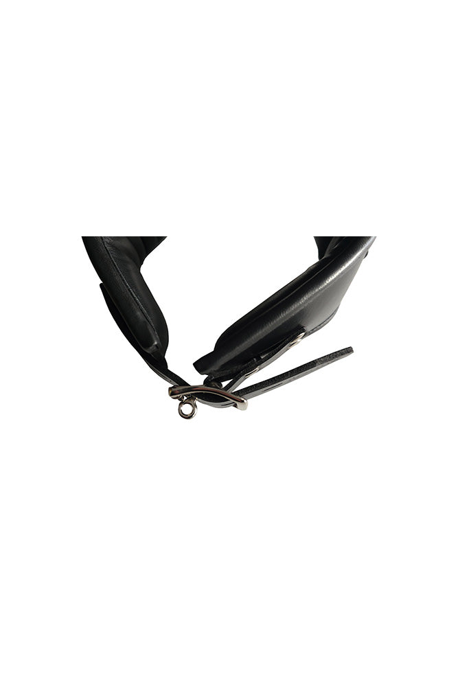 Rouge Leather Posture Collar (Black) – Padded Collar with D-Rings > Bondage Gear > Collars & Leashes