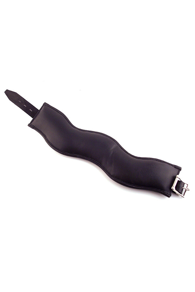 Rouge Leather Posture Collar (Black) – Padded Collar with D-Rings > Bondage Gear > Collars & Leashes
