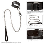 Euphoria Collection Collar With Chain Leash Black Velvet and Vegan Leather > Bondage Gear > Collars & Leashes