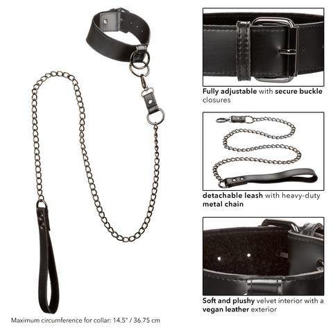 Euphoria Collection Collar With Chain Leash Black Velvet and Vegan Leather > Bondage Gear > Collars & Leashes