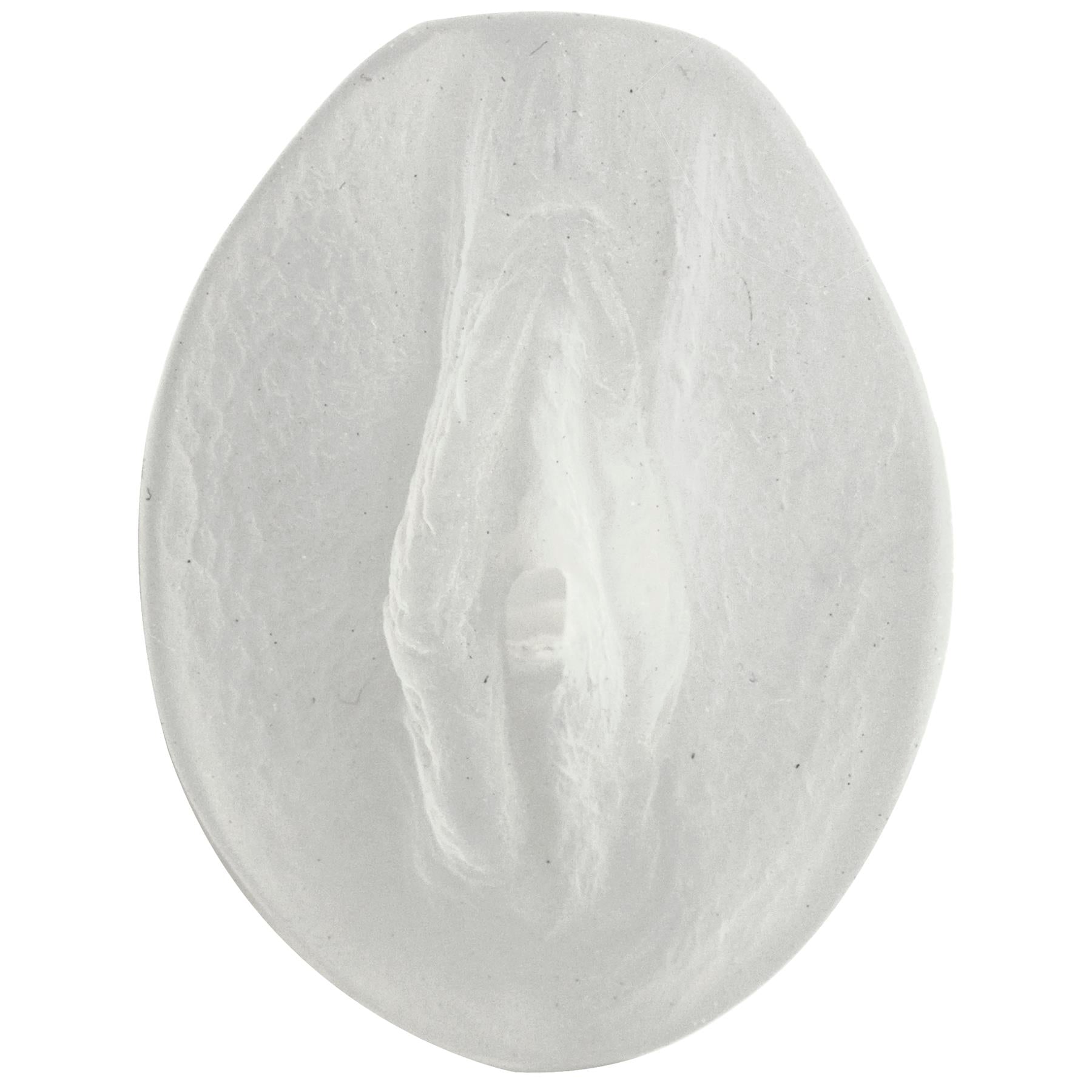 Palm Pal Ultraskyn Pussy Frosted Clear 6 Inch Masturbator