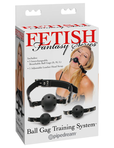Fetish Fantasy Series Ball Gag Training System - 3 Interchangeable Sizes > Bondage Gear > Restraints
