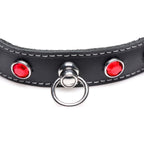 Bling Vixen Leather Choker with Red Rhinestones > Bondage Gear > Collars & Leashes