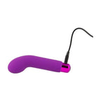 Power Bullet Sara’s Spot Vibrator Purple for G-Spot Pleasure > Sex Toys For Ladies > G-Spot Vibrators