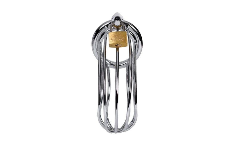 Silver Metal Birdcage Cock Cage Chastity Device for Enhanced Pleasure and Control Secondary image