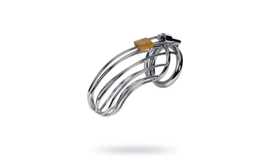 Silver Metal Birdcage Cock Cage Chastity Device for Enhanced Pleasure and Control > Bondage Gear > Male Chastity Main image