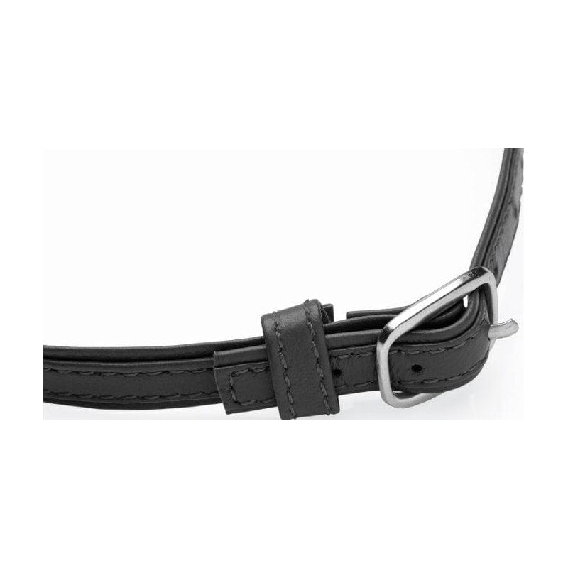 Master Series Adult Toys Black Sex Pet Leather Choker w/ Silver Ring Black 848518044563